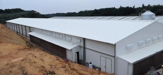 Anpassungsbau Stahlkonstruktion Geflügelställe Q235B Q355B Verzinktes Stahlblech