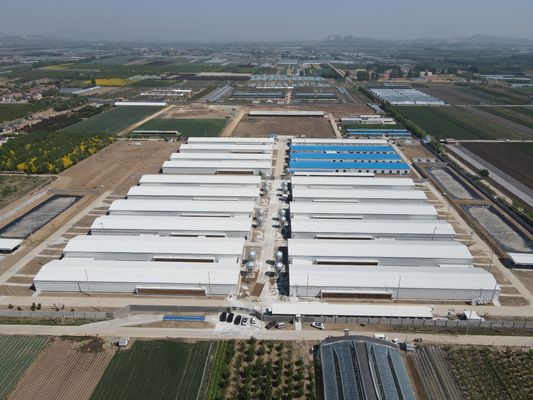Industrieanlagen aus Stahl Vorgefertigtes Stahl Geflügelhaus