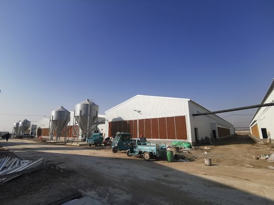 Anti-Korrosive Verzinkte Voll-Antomatik Geflügelfarm Vogelschuppen Haus vorgefertigt