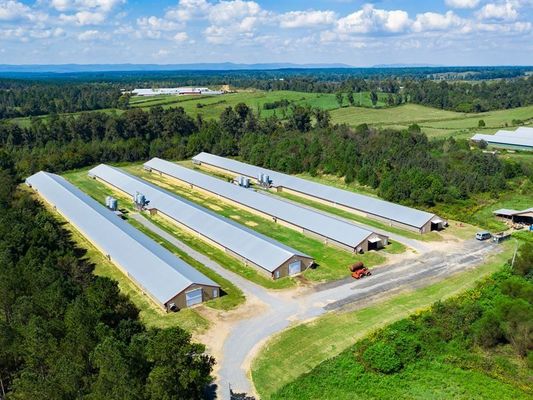 Vorgefertigte Stahlkonstruktion Hühnerhaus Broilerfarm Stahlrahmenbau Bau