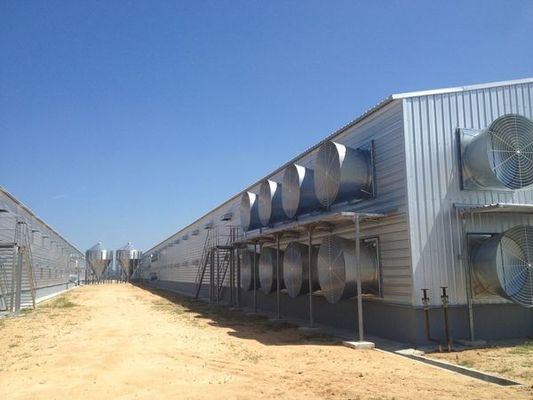 Automatische Stahlkonstruktion Geflügelfarm Schuppen Design Modernes Hühnerhaus