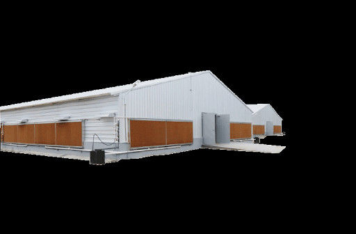 Broiler Geflügel Prefabrikhäuser Stahlkonstruktion Vollautomatisierte Hühnerzuchtgeräte