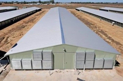 Modulare Stahlkonstruktion Hühnerhaus Broilerhaus Farm Schuppen Geflügelbau Vorgefertigte Lagerhäuser