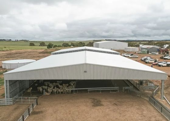 Offene Wand, konzipiert für freie Spannweite, vorgefertigte Stahlhalle, Hochregallager