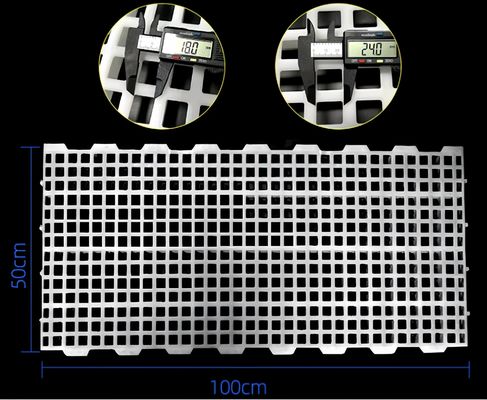 Geflügelfarm Plastik-Schieferboden Broilerhaus 2kg 16*16mm / 20*26mm Loch